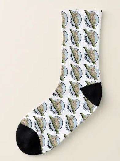 Socks with money print