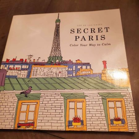 A coloring book with the title "Secret Paris"