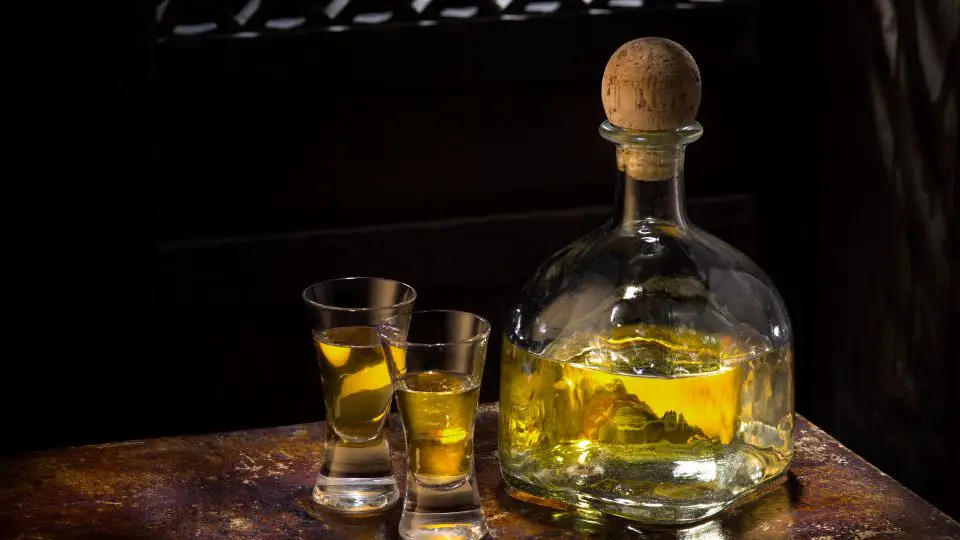 Bottle of tequila with two shot glasses